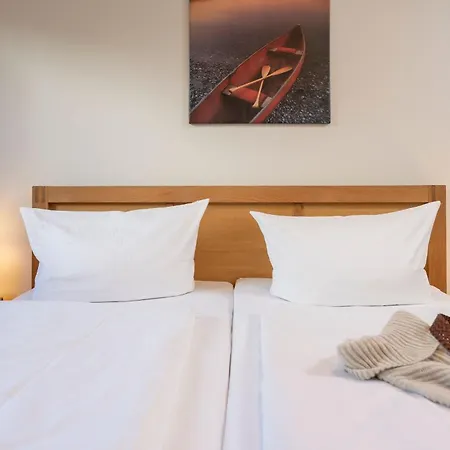 Haubentaucher * ザスニッツ