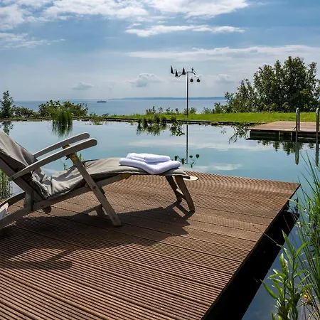 Haubentaucher ザスニッツ